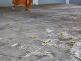 Independence Day-Cultural Program-1